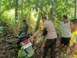 Personel Polsek Ulu Ogan Tangani Kecelakaan Tunggal di Desa Pedataran, Dua Korban Dilarikan ke Rumah Sakit
