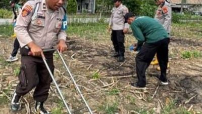 Polsek Sinar Peninjauan Laksanakan Tanam Jagung Kuartal I 2026, Dukung Ketahanan Pangan