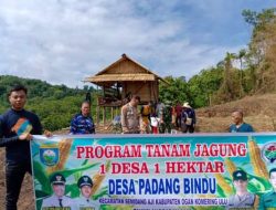 Polsek Semidang Aji Dukung Ketahanan Pangan Lewat Kegiatan Tanam Jagung di Desa Padang Bindu