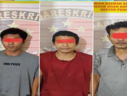 Tiga Pelaku Pencuri sawit di OKU Ditangkap